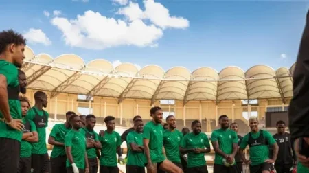 Panthères du Gabon&nbsp;: Pas de match amical en juin, faute de sélectionneur
