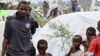 RDC : 1,3 million de personnes déplacées par les violences dans l’Est
