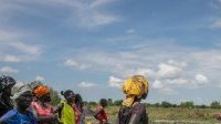 Soudan du Sud : vers une crise alimentaire majeure, 60 % de la population menacée
