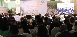 Rose Christiane Ossouka Raponda à la COP15 de la Convention de l’ONU sur la désertification