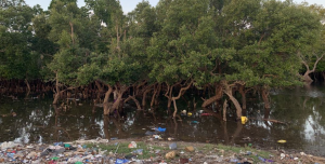 L’Afrique détient le pouvoir et les outils pour redessiner un avenir sans pollution plastique