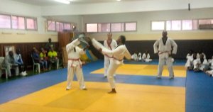 16 taekwondoïstes montent en grade à Port-Gentil au terme d’une âpre cérémonie