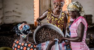 Le plein potentiel des femmes reste inexploité, dénonce l’ONU