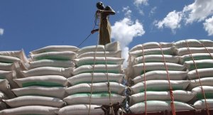 Les prix alimentaires mondiaux continuent de baisser depuis dix mois selon la FAO