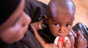 Somalie&nbsp;: Frappée par la sécheresse et la faim, le pays a besoin de 2,6 milliards de dollars