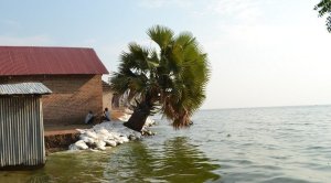 Ouganda&nbsp;: les effets économiques de la montée des eaux du lac Albert sont dévastateurs