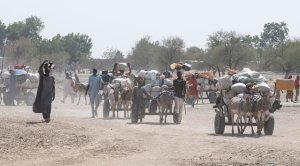 Cameroun&nbsp;: l’ONU alloue 6 millions de dollars pour les besoins vitaux humanitaires et de protection