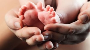 Une personne sur six dans le monde est touchée par l’infertilité, selon l’OMS