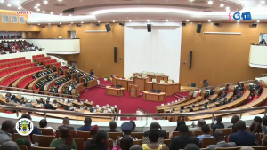 L’Assemblée nationale de la transition n’est pas la Représentation et le Sénat actuel n’a pas de Mandat&nbsp;!