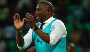 Panthères du Gabon&nbsp;: Les chiffres effrayants de Thierry Mouyouma face au top 10 africain