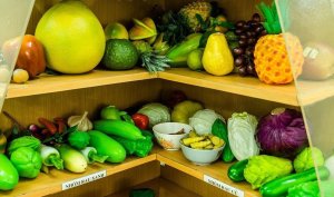 L’ONU se mobilise pour une alimentation saine qui éviterait 11 millions de décès par an