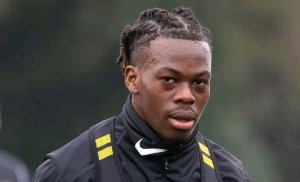 Mercato&nbsp;: l’Allemand Hoffenheim sur la piste du gabonais Jacques Ekomié