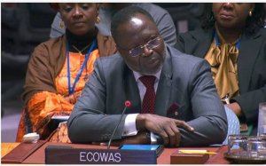 Afrique de l’Ouest&nbsp;: la CEDEAO alerte sur une explosion du terrorisme avec plus de 1 900 morts en 2025