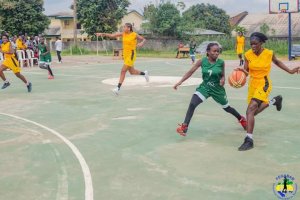 Championnat national des jeunes de basketball&nbsp;: Logovéens et Marigovéens mènent les débats