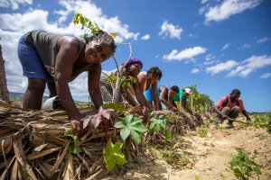 S’adapter pour survivre&nbsp;: 5 façons d’aider les pays à affronter la crise climatique