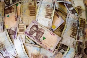 Nigeria&nbsp;: la valeur du naira divisée par 700 depuis sa création en 1973