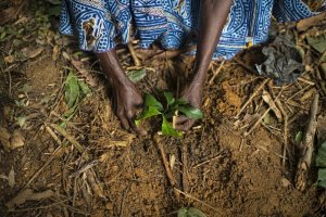 «&nbsp;Nous devons mettre un terme à ces guerres insensées contre la nature&nbsp;»