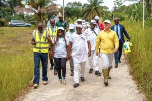 Le Gabon célèbre en différé la journée internationale de la conservation de l’écosystème des mangroves