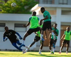 Mondial 2026&nbsp;: Les Panthères du Gabon au complet pour affronter la Gambie à Nairobi